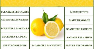 Le citron congelé est un médicament naturel 17 raisons de l’utiliser