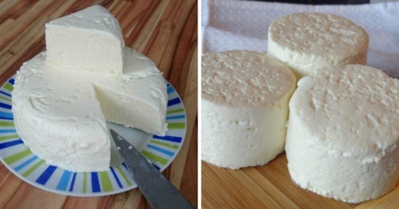 recette-voici-comment-fabriquer-du-fromage-frais-a-la-maiso