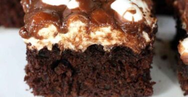 Gâteau au chocolat et guimauves (Mississippi Mud Cake)