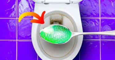 Comment éliminer le tartre des toilettes sans utiliser d’eau de Javel ? Cette solution méconnue fait des miracles