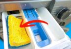 Déposez une éponge à vaisselle dans le bac du lave-linge : c’est la solution efficace à un problème courant